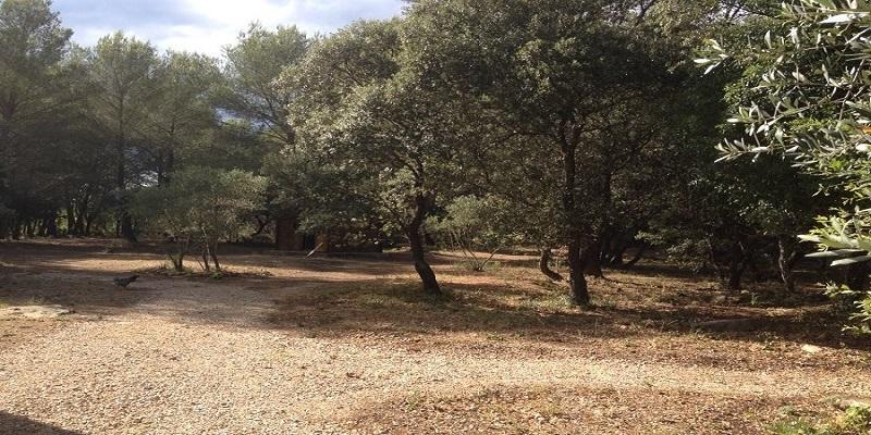 Vakantiehuis Le Domaine D'alezen